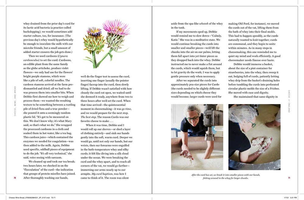 Cheese, Wine, and Bread : Katie Quinn