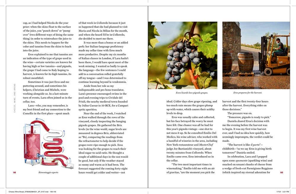 Cheese, Wine, and Bread : Katie Quinn