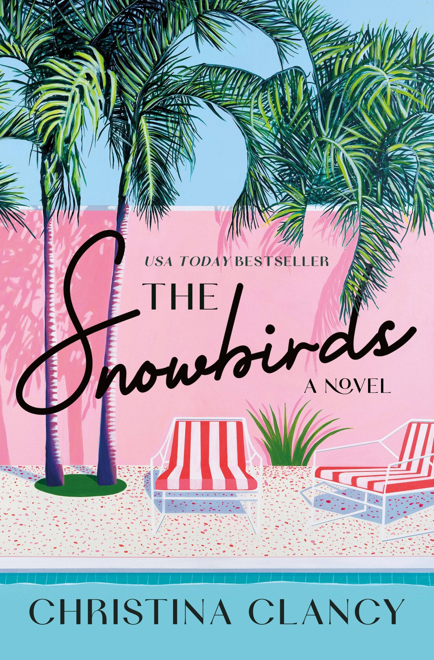 Snowbirds: A Novel