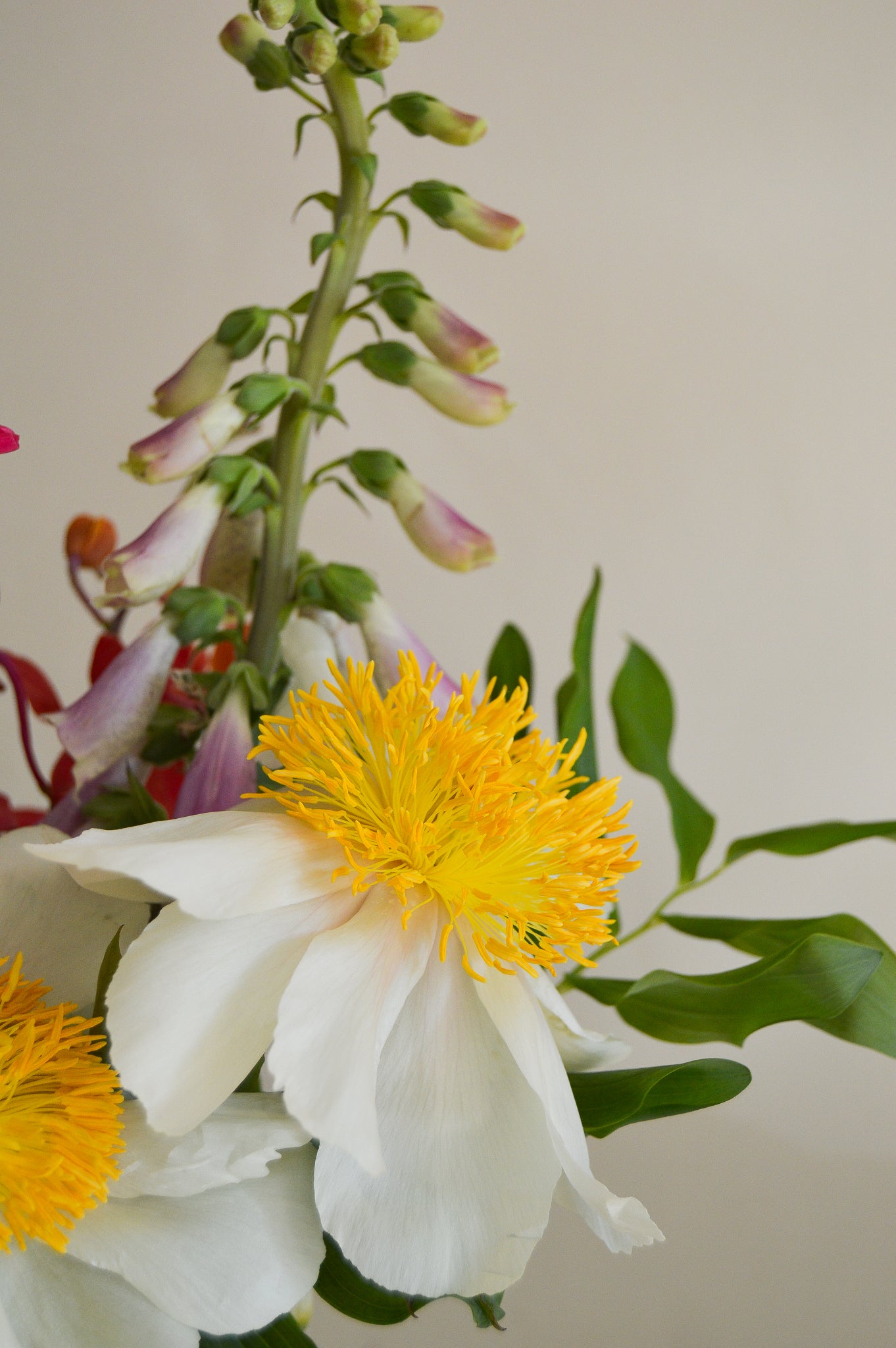 Fresh Flower Subscription