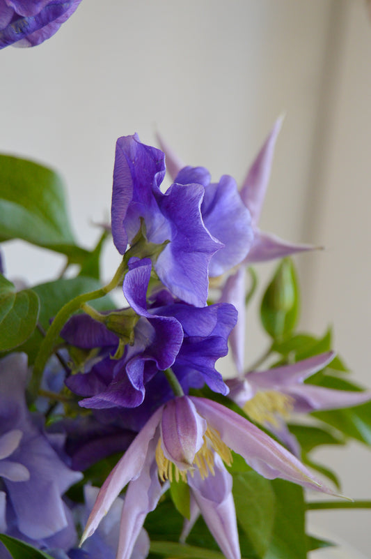 Cool Toned Bridal Bouquet