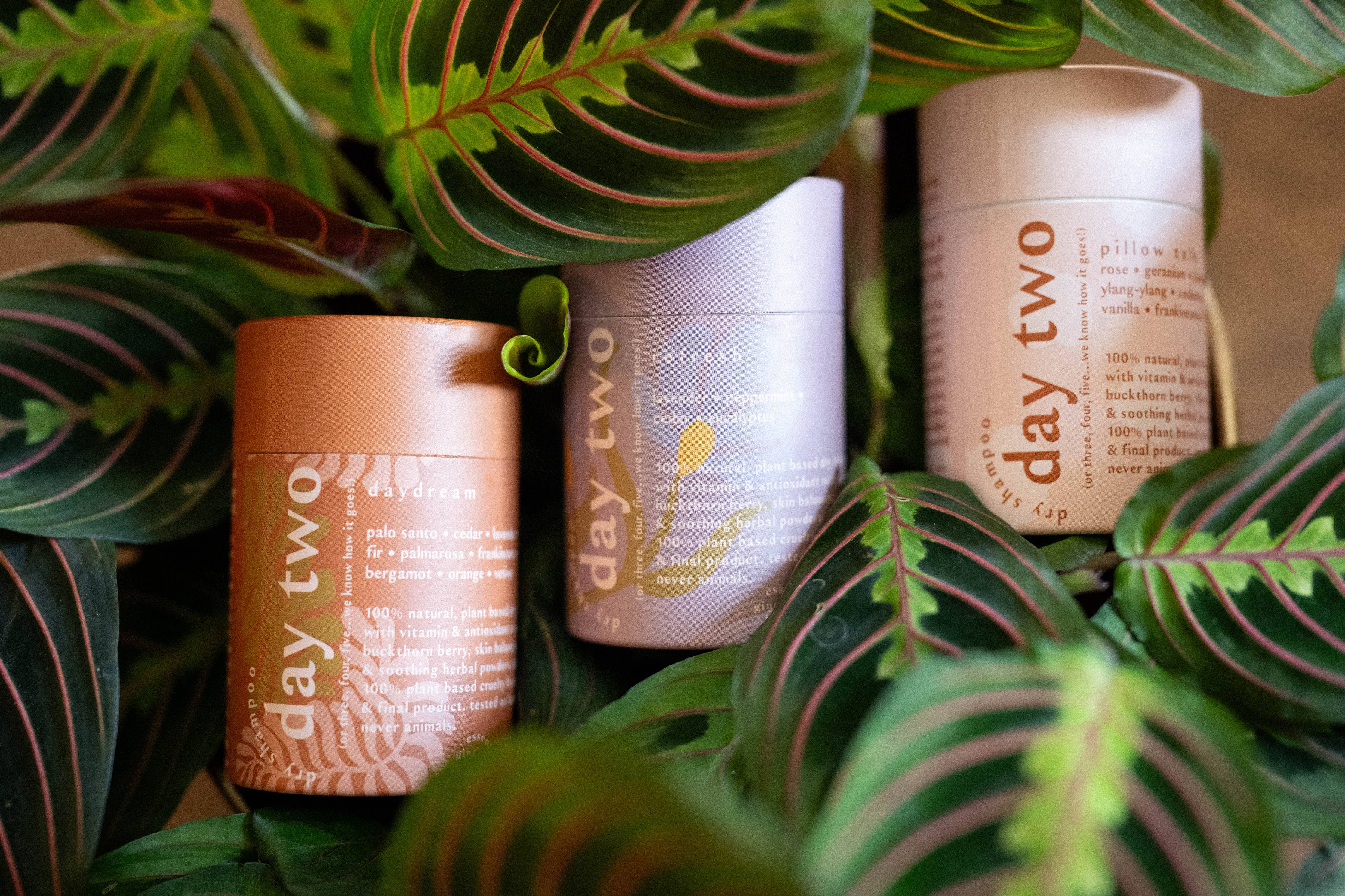 Day Two Natural Dry Shampoo – KAE | Event Studio & Floral Boutique