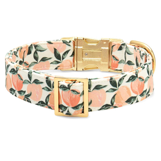 Peaches and Cream Dog Collar